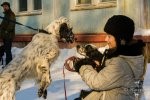 ВЫСТАВКИ - Выводка Военохота 2009